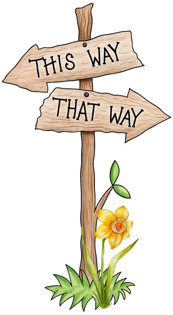 decisionmaking
